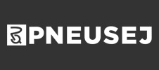 logo-pneusej.com