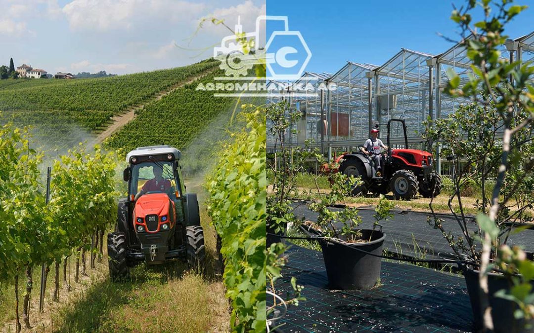 Traktori SAME Frutteto sa leve i SAME Delfino sa desne strane u praksi u voćarskim i vinogradarskim poslovima.